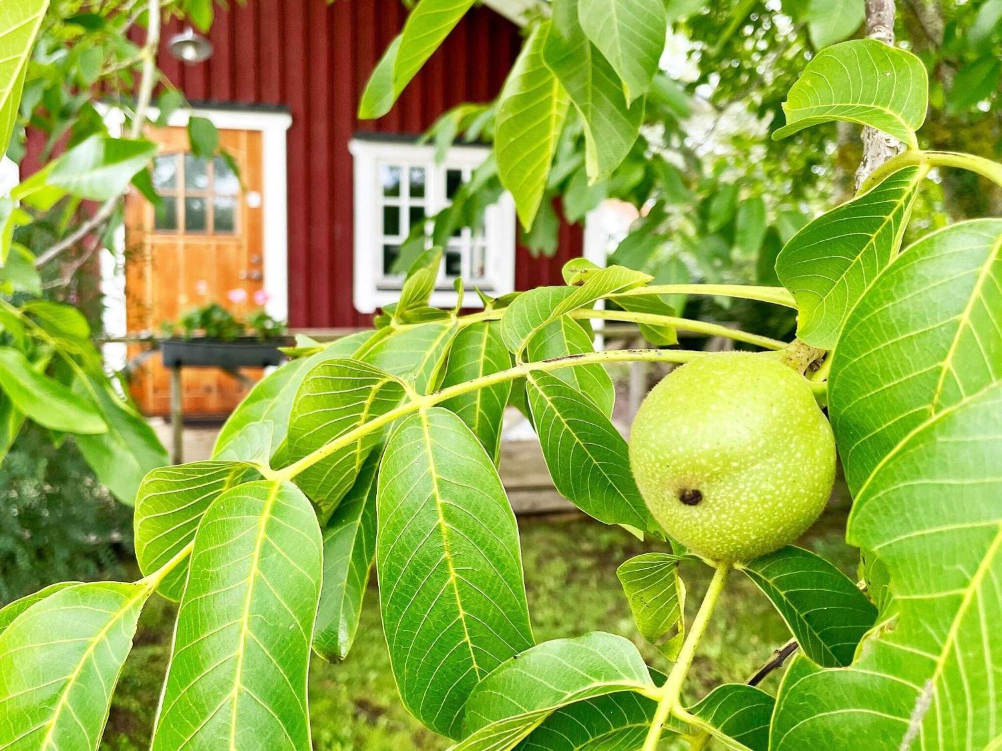 Holiday Home Malaretorpsvaegen Borgholm Buitenkant foto